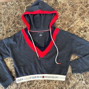 Tommy Hilfiger Cropped hoody top Small
